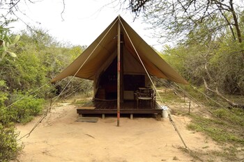 quatermains 1920s safari camp amakhala game reserve
