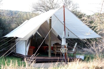 quatermains 1920s safari camp amakhala game reserve