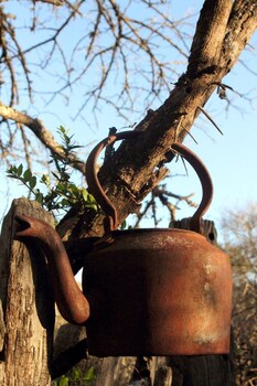 quatermains 1920s safari camp amakhala game reserve