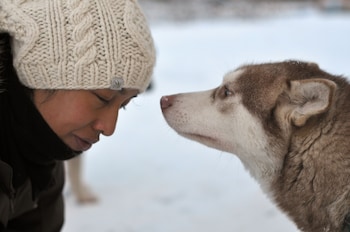 wilderness hotel nellim and igloos