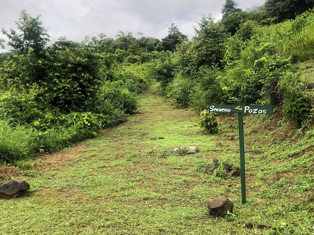 gatun lake lodge