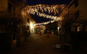 la vie en rose hotel