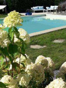 la vie en rose hotel