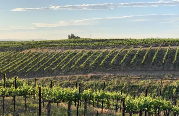 temecula