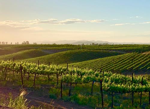 temecula
