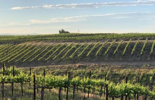 temecula