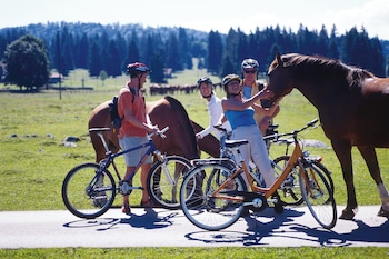 delemont youth hostel