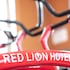 red lion hotel orlando lake buena vista south