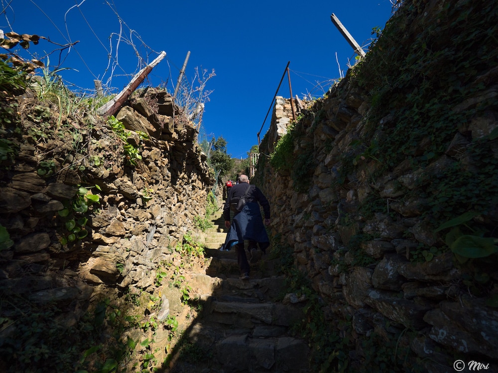 vernazza