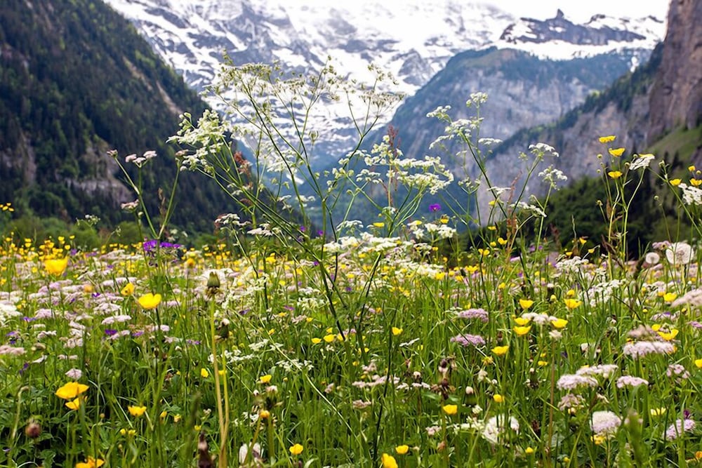 pension gimmelwald