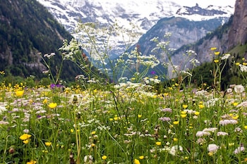 pension gimmelwald