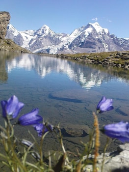 Pension Gimmelwald,Gimmelwald>>Bern,3 star