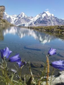 pension gimmelwald