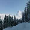 gimmelwald