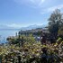sieben zimmer am see