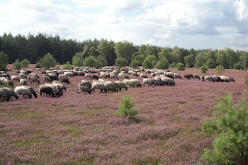 eschede