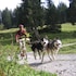 huttenhotel husky lodge