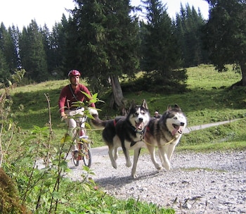 huttenhotel husky lodge