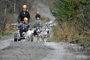 huttenhotel husky lodge