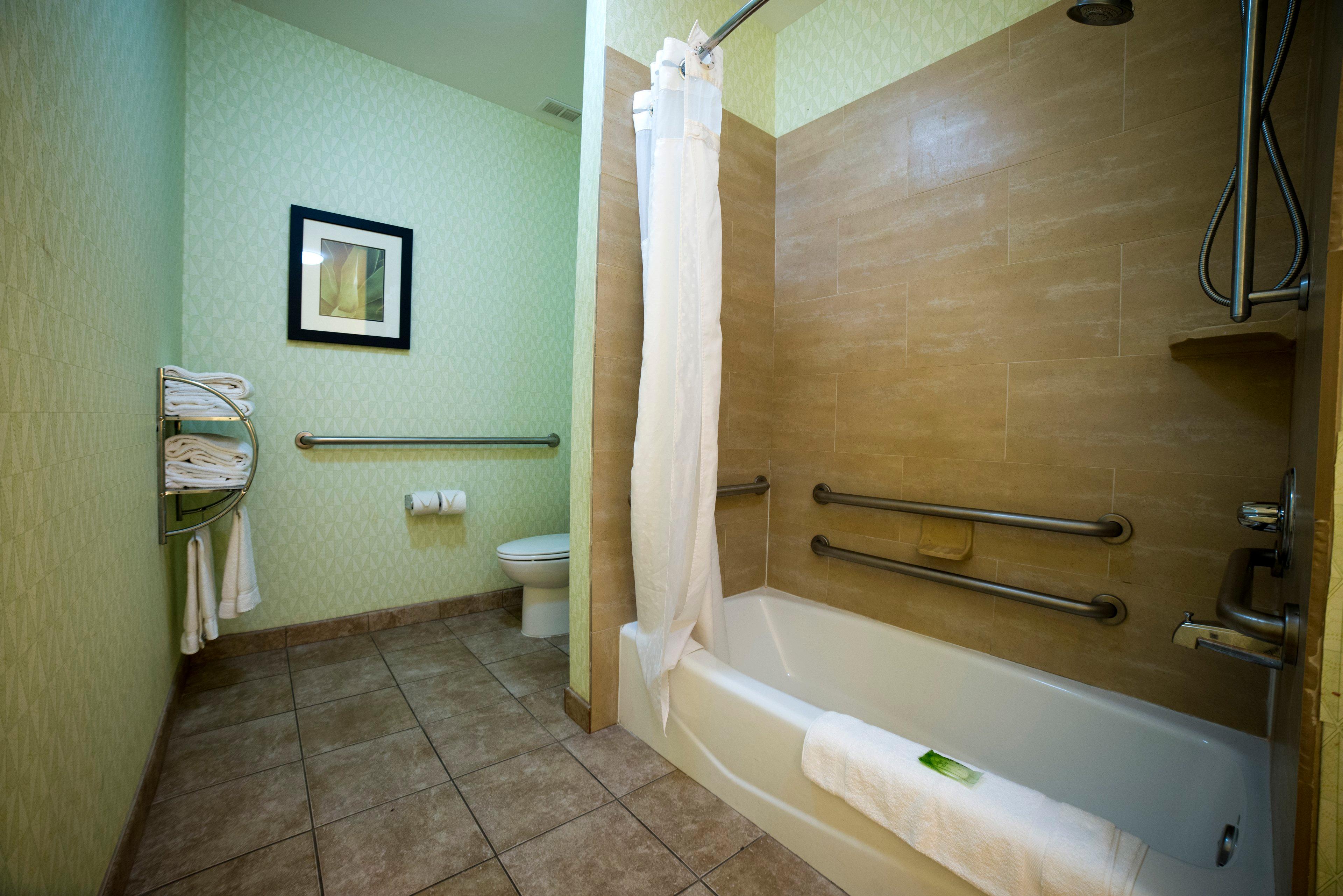 holiday inn express and suites atlanta east lithon