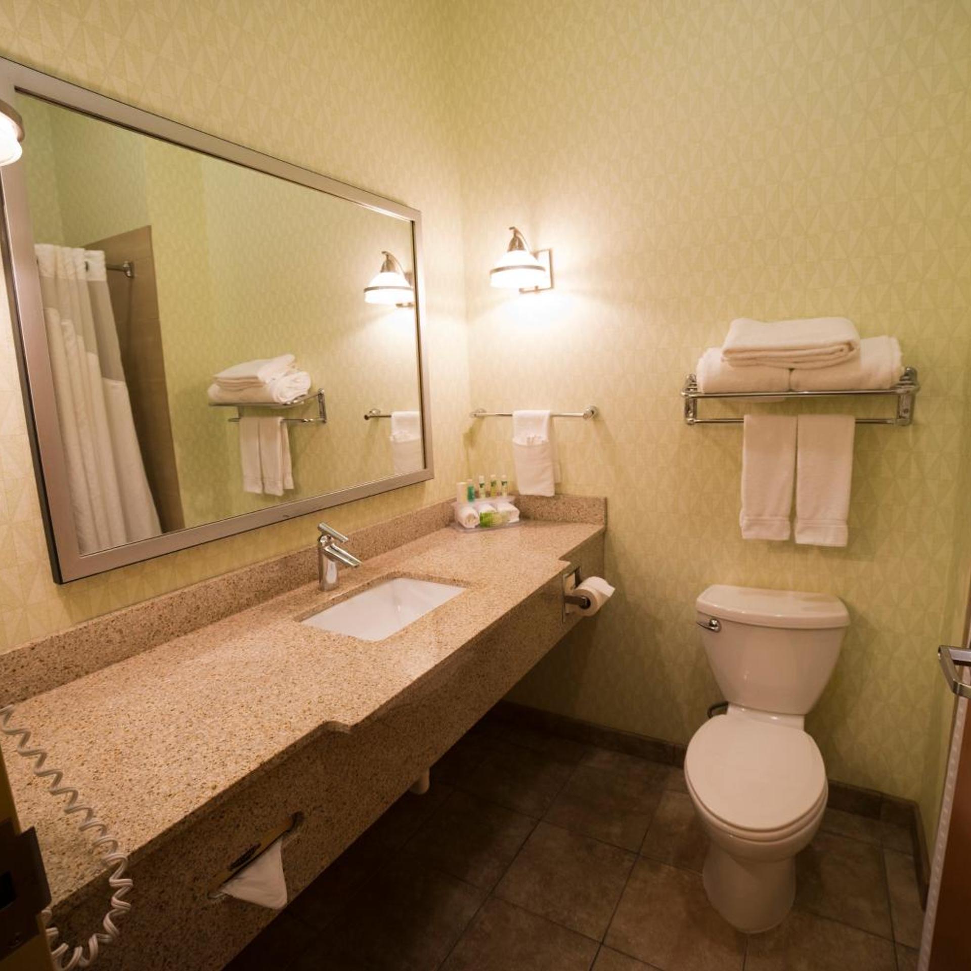 holiday inn express and suites atlanta east lithon