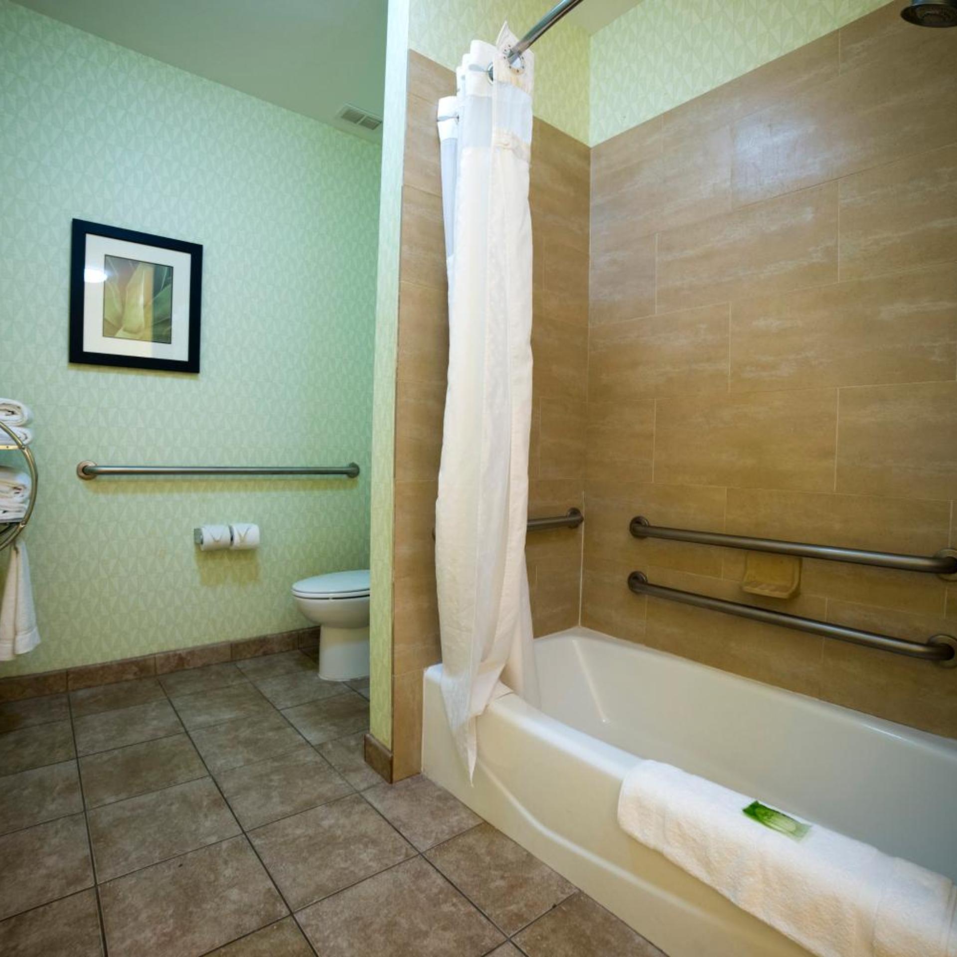 holiday inn express and suites atlanta east lithon