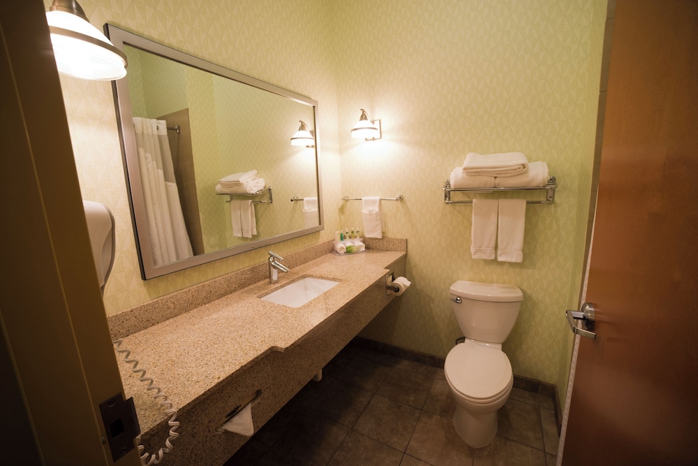 holiday inn express and suites atlanta east lithon
