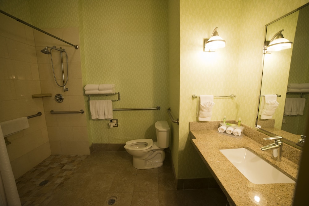 holiday inn express and suites atlanta east lithon