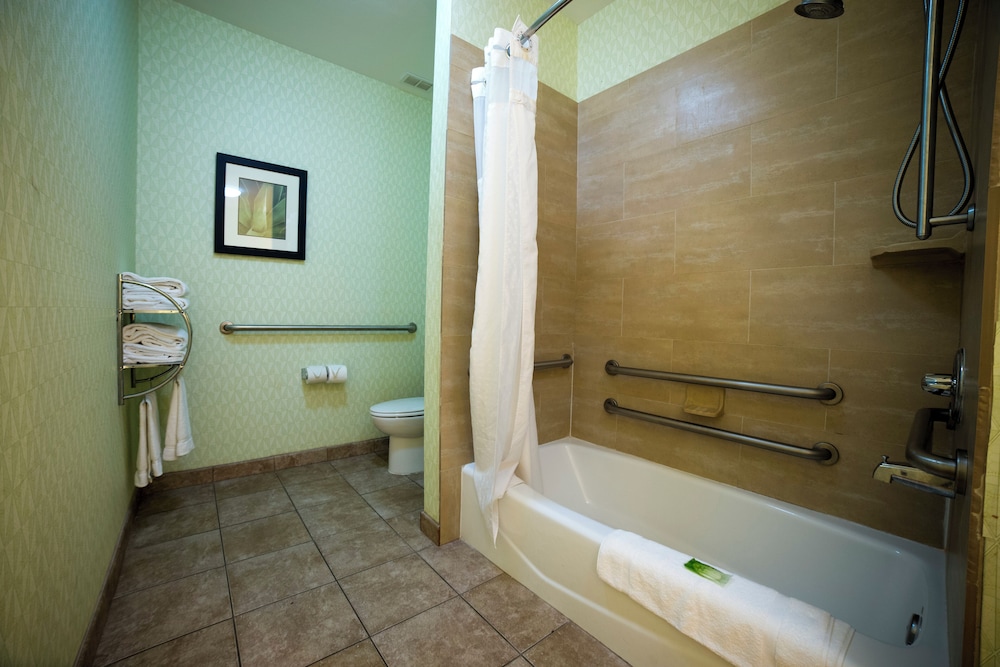 holiday inn express and suites atlanta east lithon