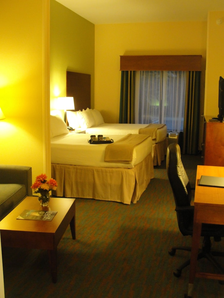holiday inn express and suites atlanta east lithon
