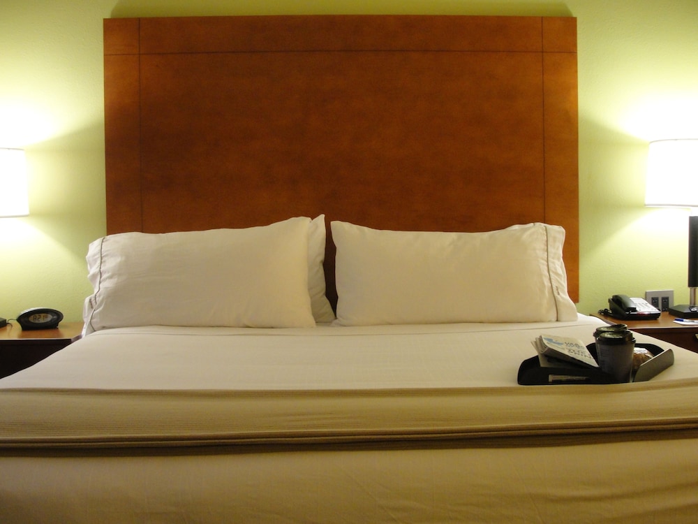holiday inn express and suites atlanta east lithon
