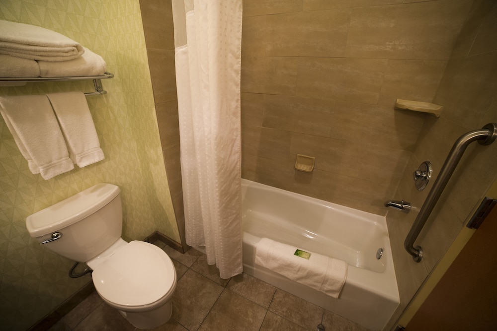 holiday inn express and suites atlanta east lithon