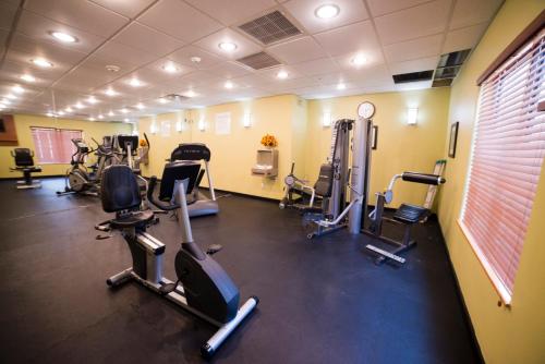 holiday inn express and suites atlanta east lithon