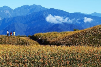 locking taitung bandb