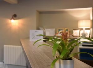 marton guest house