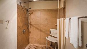 best western plus executive inn and suites