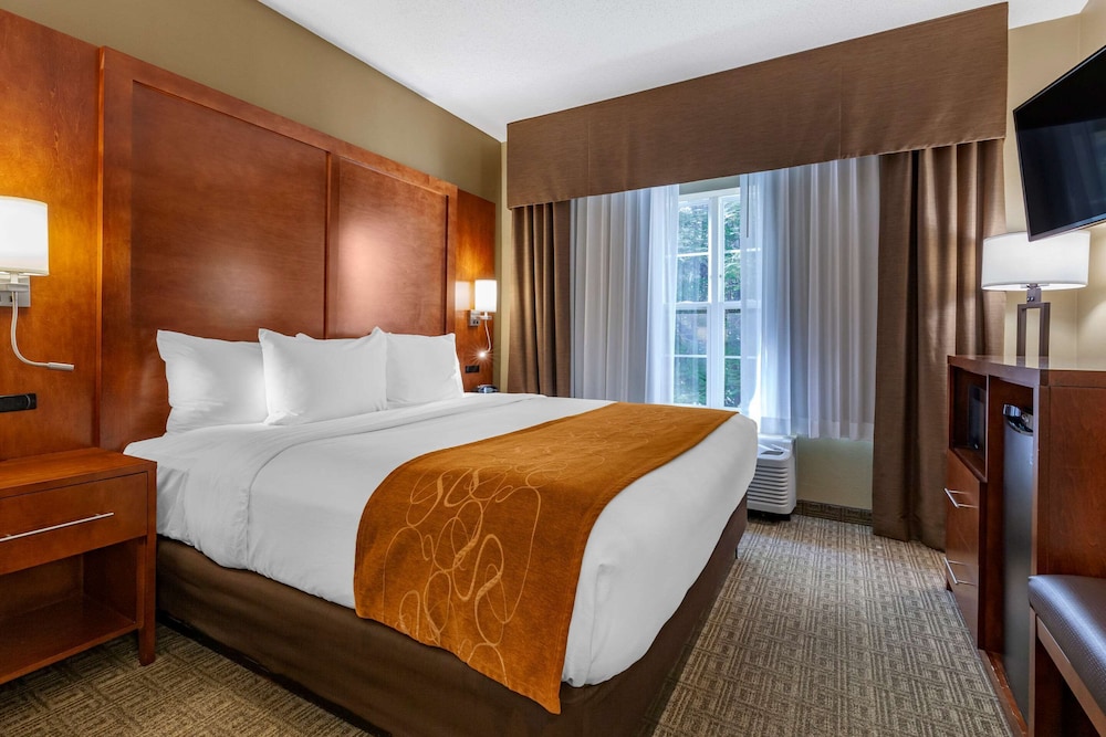 comfort suites