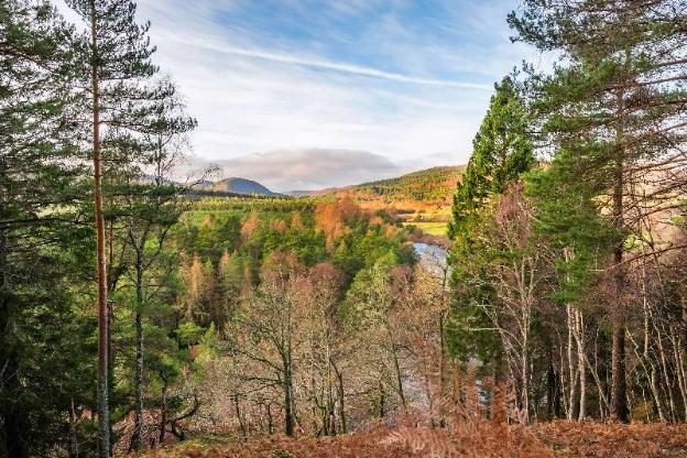 hilton grand vacations club craigendarroch suites scotland