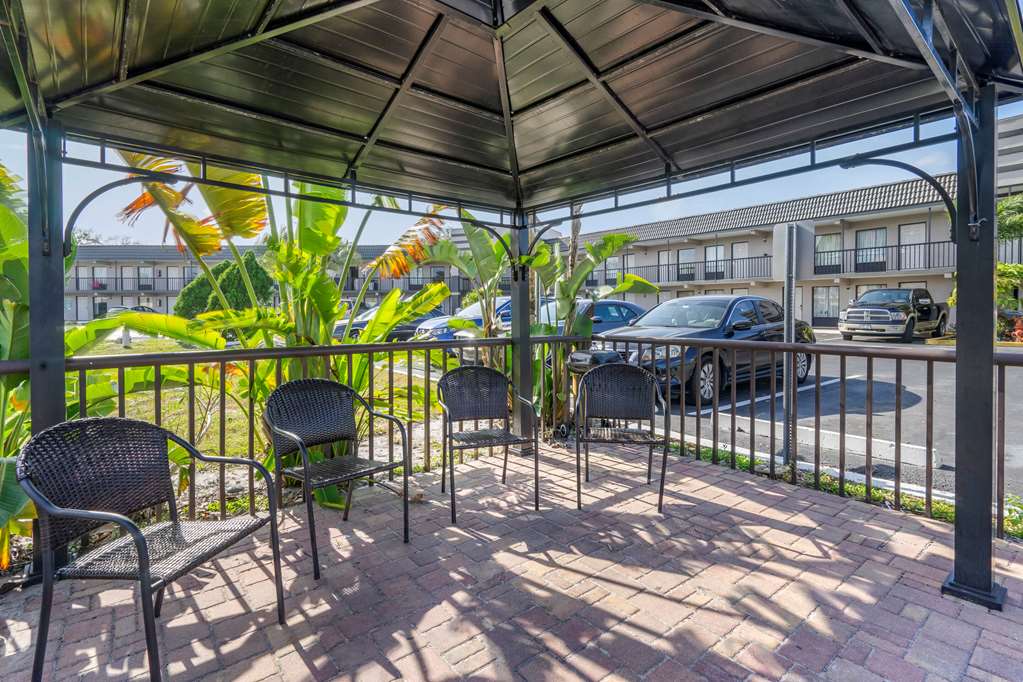 rodeway inn clearwater dunedin