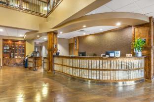 best western premier ivy inn and suites