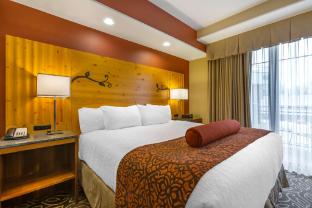 best western premier ivy inn and suites