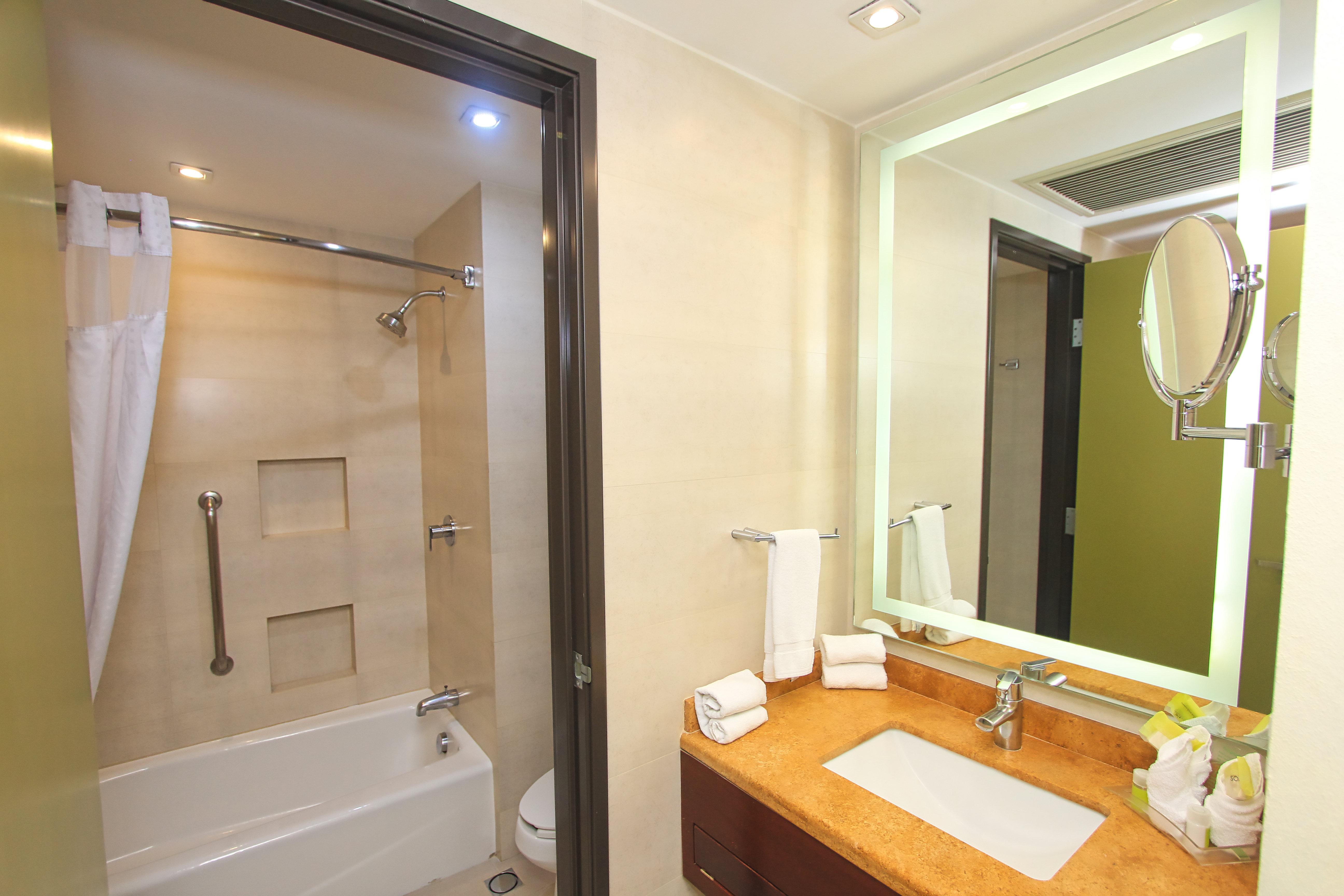 holiday inn leon by ihg