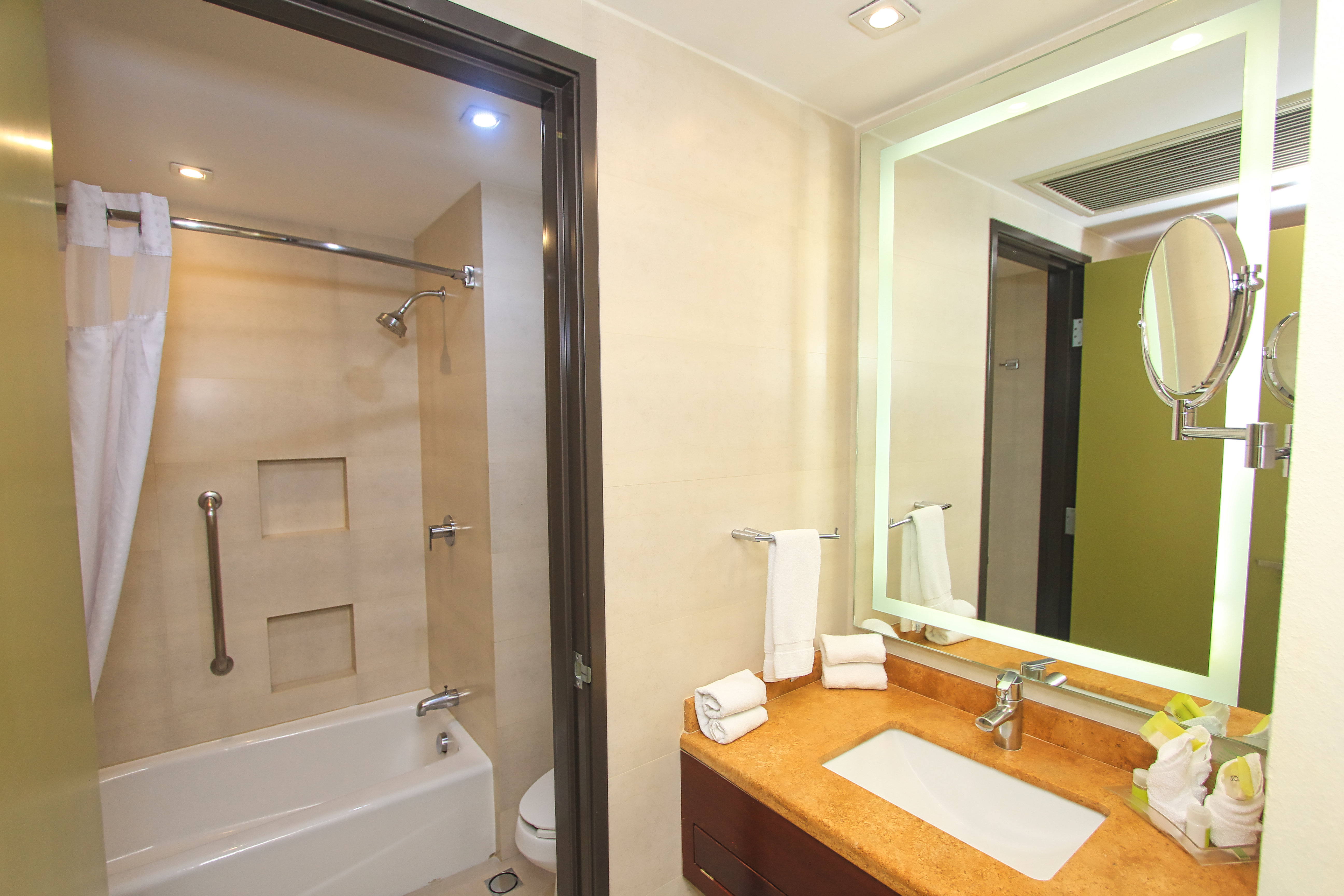 holiday inn leon by ihg