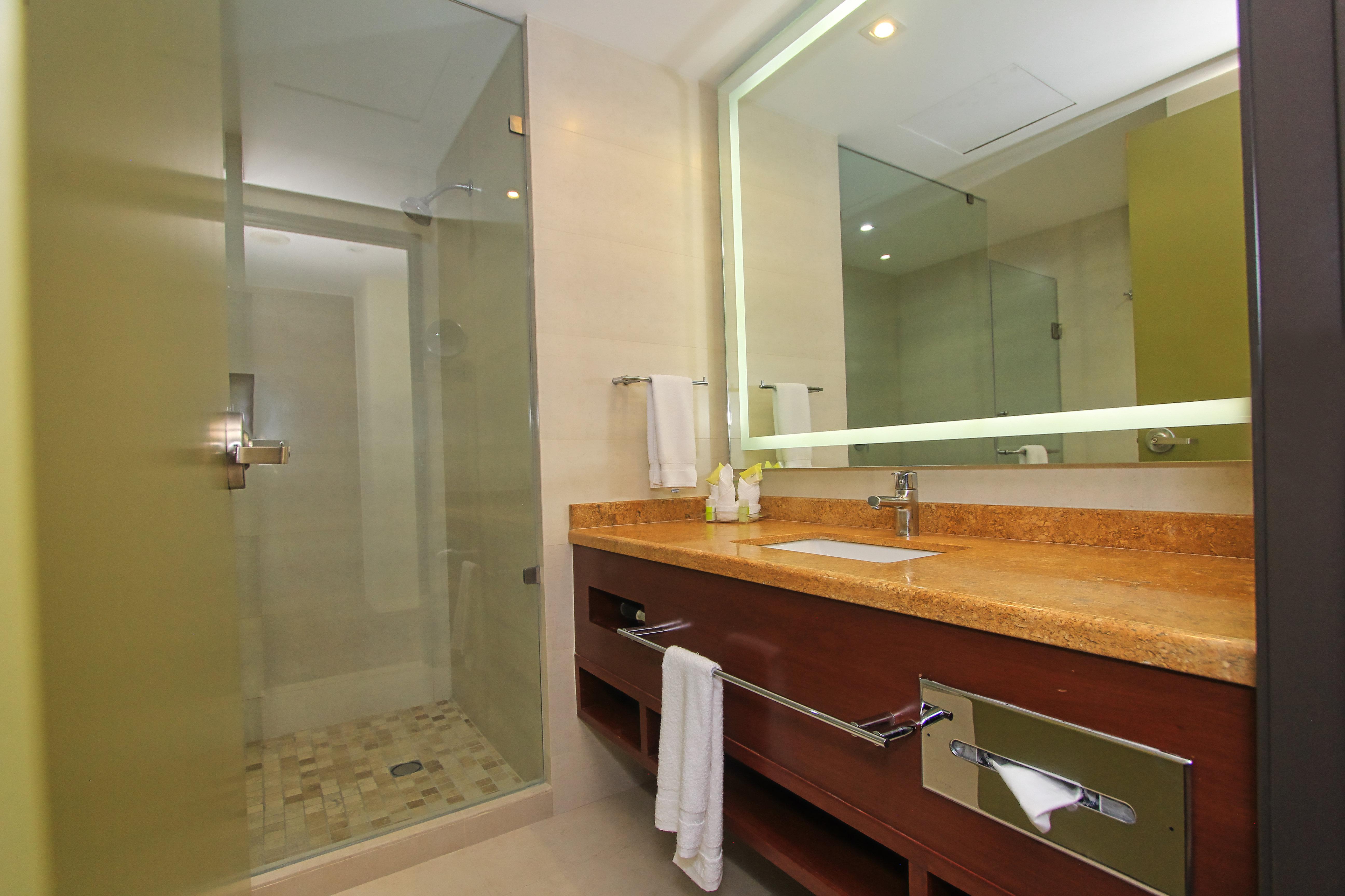 holiday inn leon by ihg