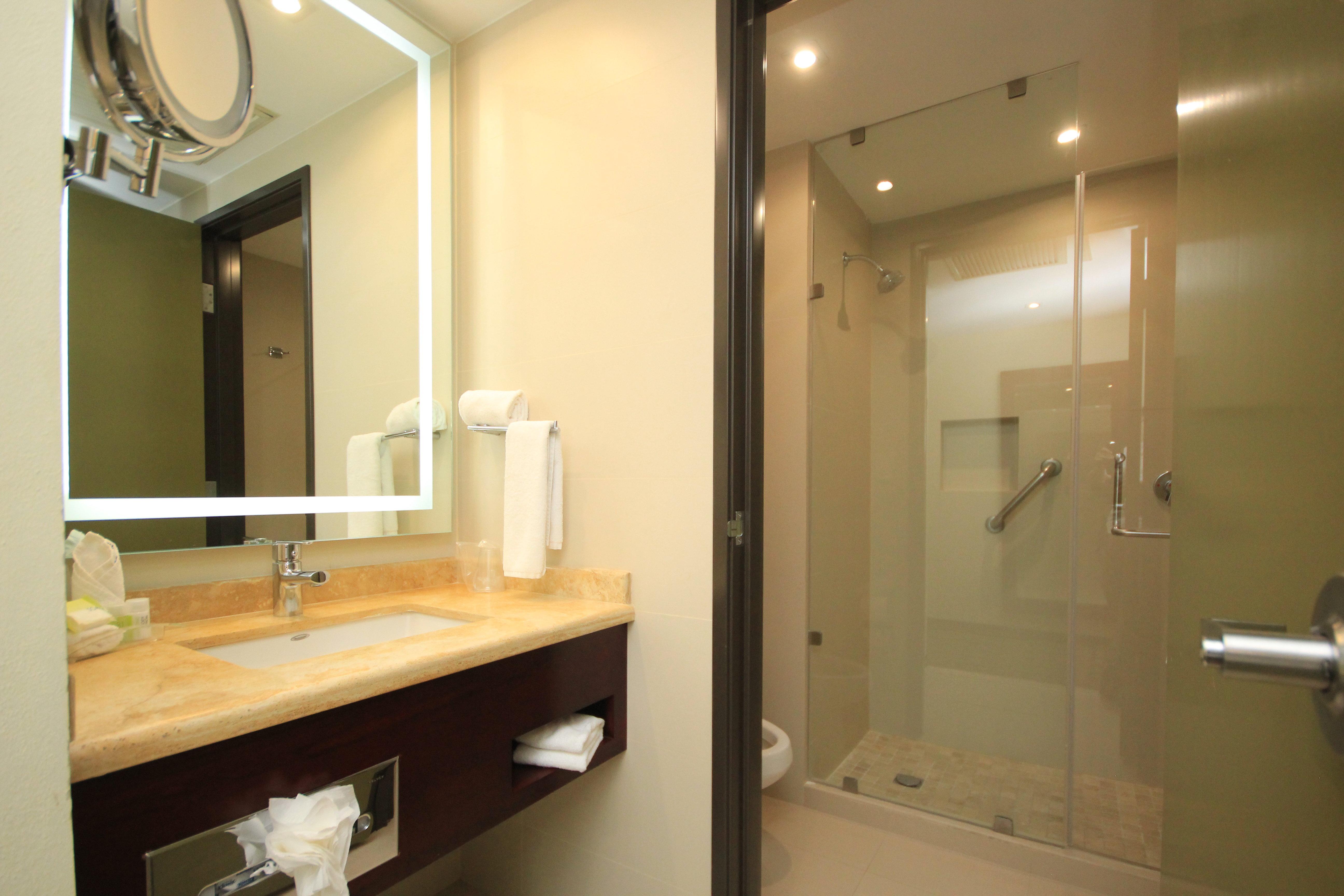 holiday inn leon by ihg