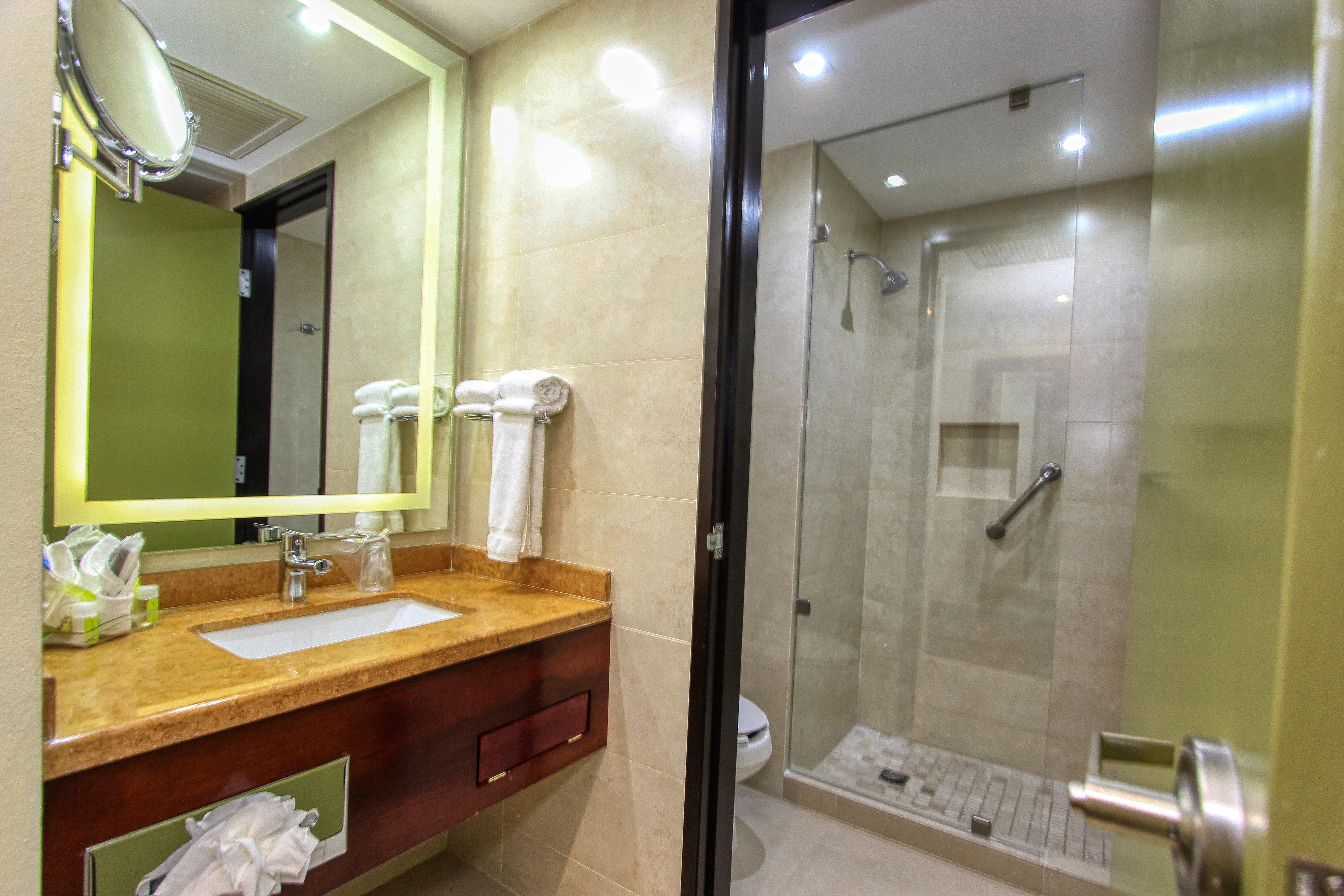 holiday inn leon by ihg