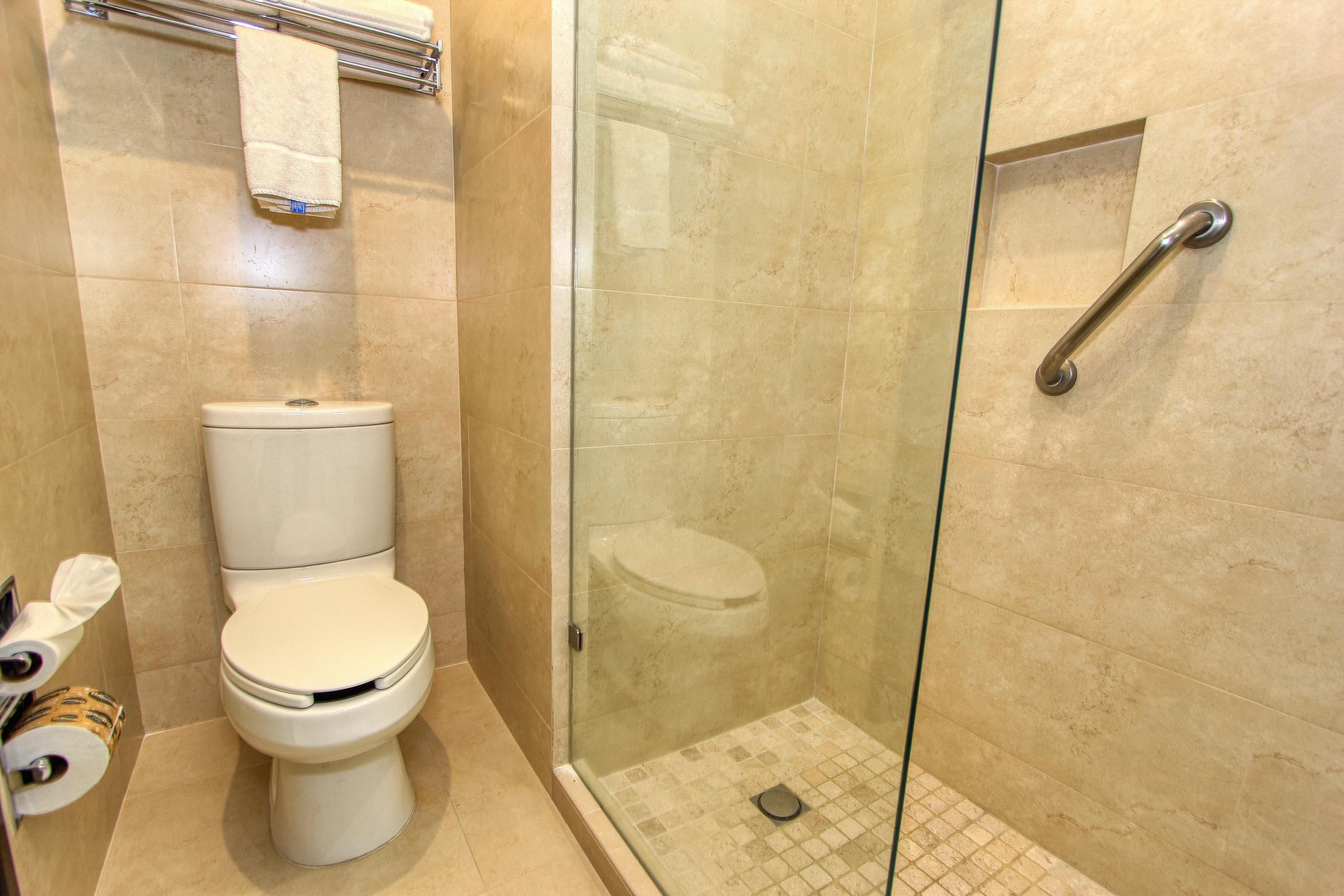 holiday inn leon by ihg
