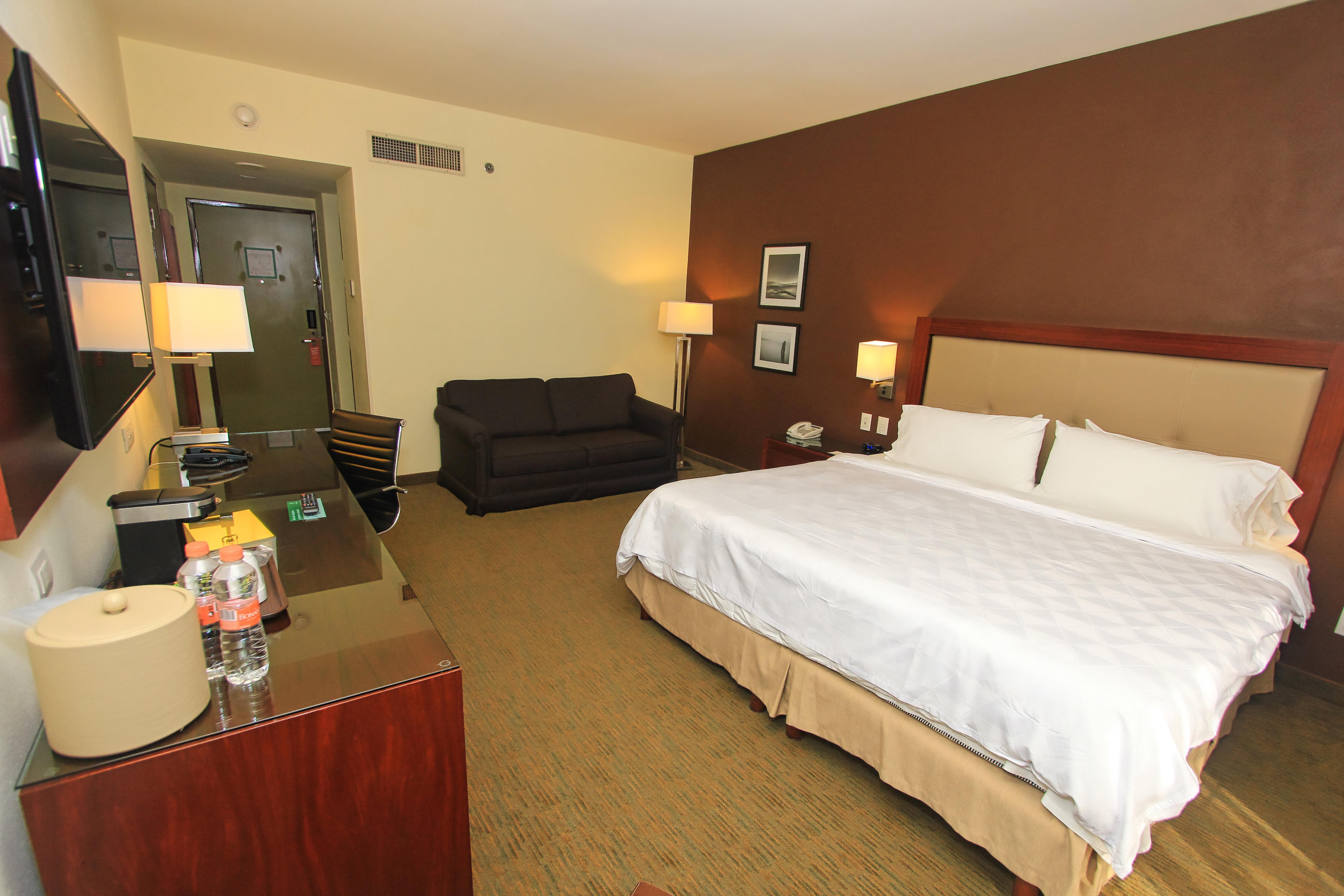 holiday inn leon by ihg