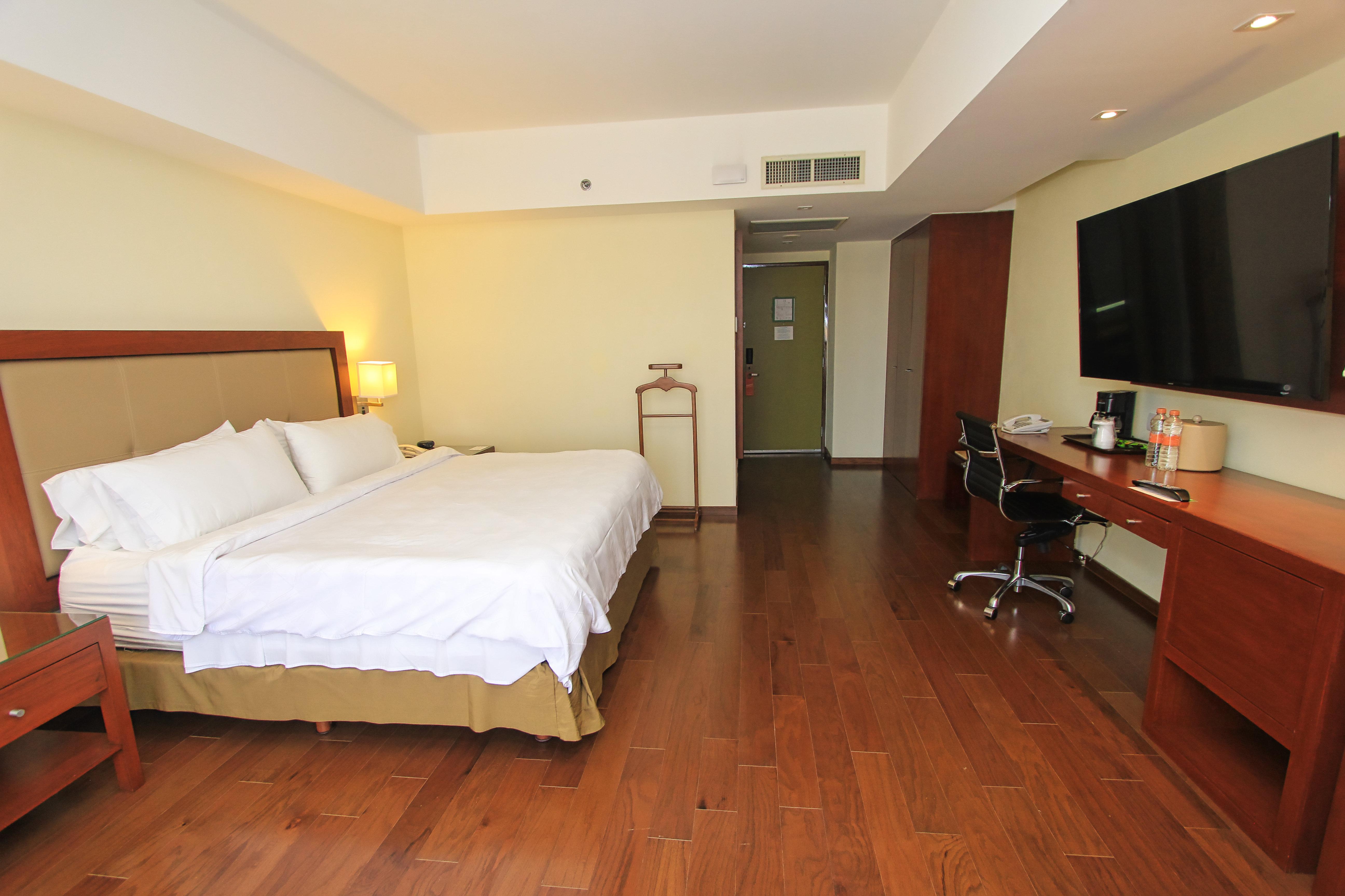 holiday inn leon by ihg