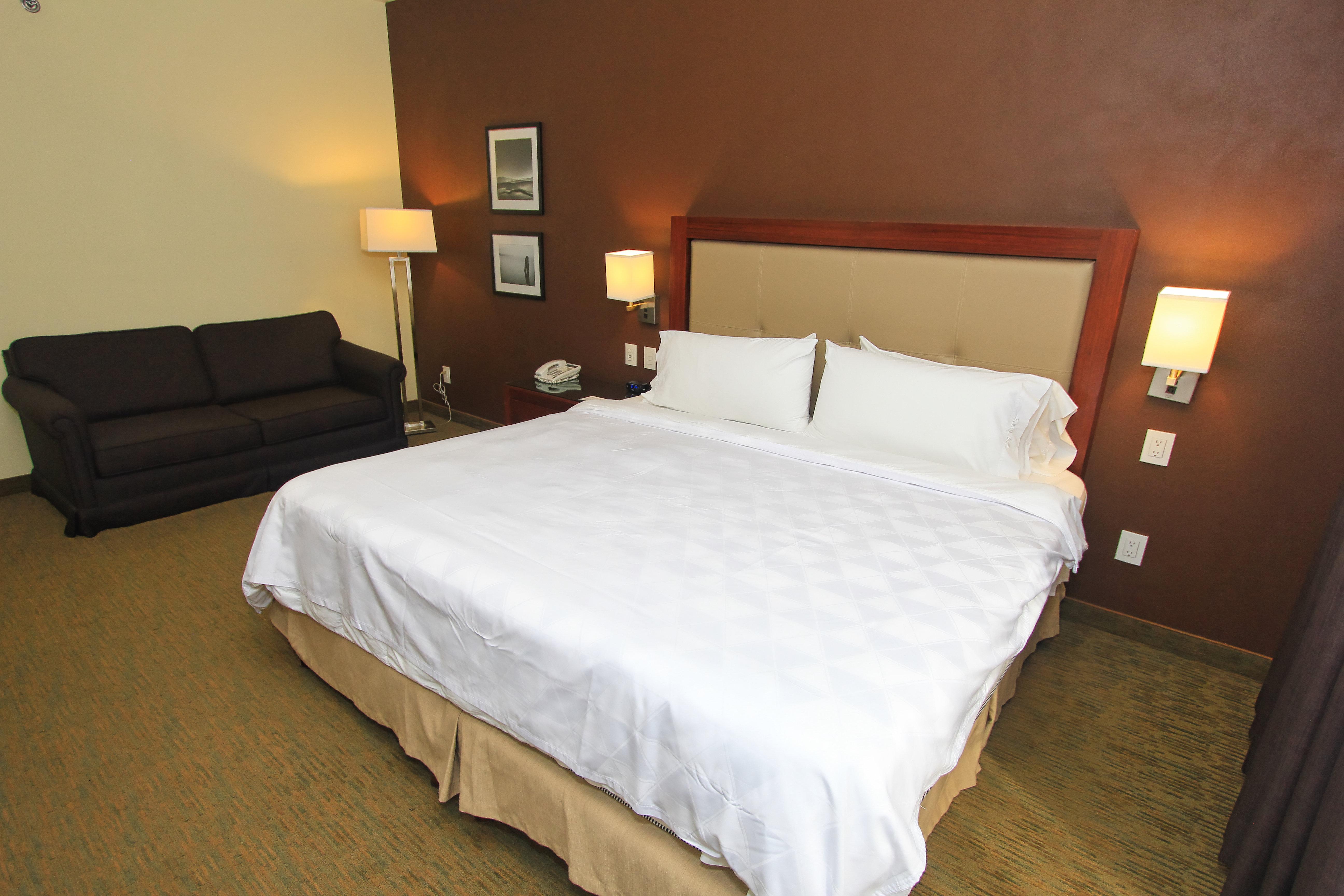 holiday inn leon by ihg